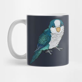 blue quaker Mug